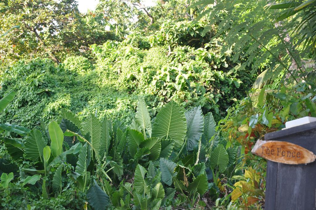 The Fence Acomodação com café da manhã Bentota Exterior foto